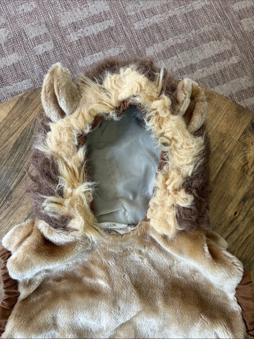 Child Size Large Lion Costume